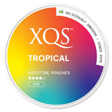 XQS Nicotine Pouch (8mg)